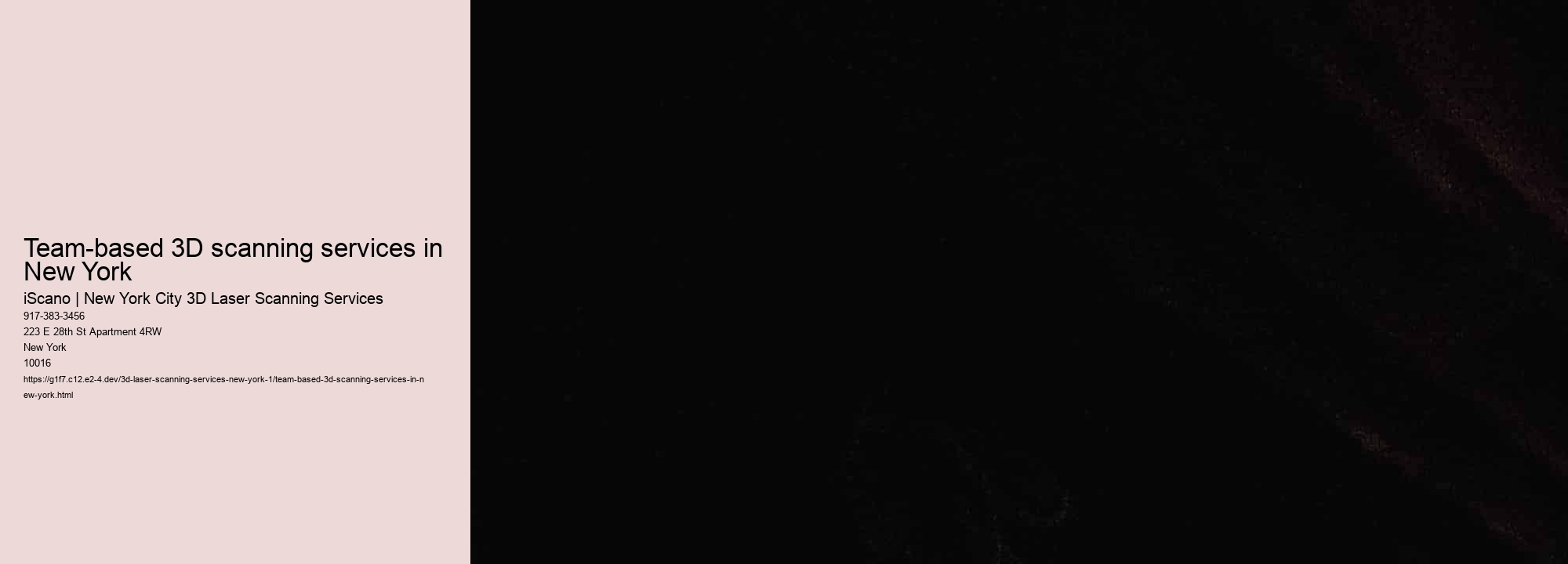 Team-based 3D scanning services in New York